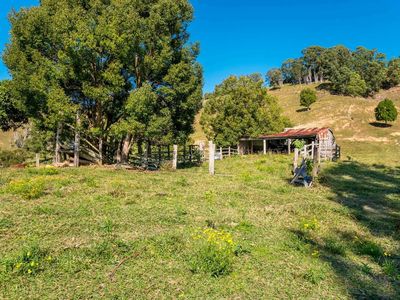 Share 2 / Lot 24 Coopers Lane, Mullumbimby