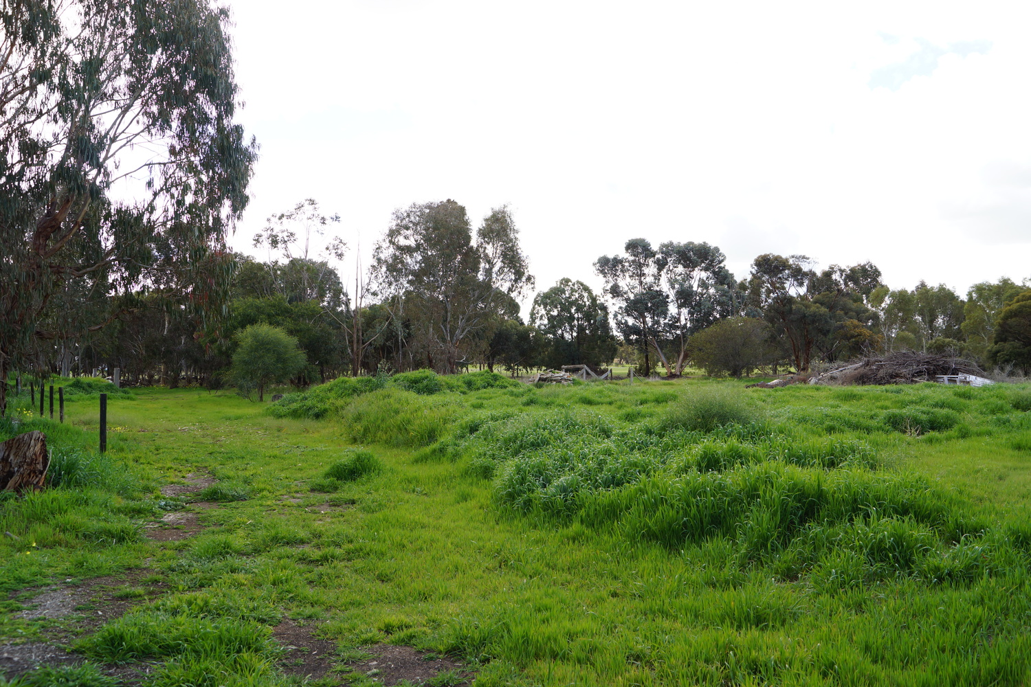 7 Faith St, Dimboola