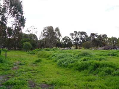 7 Faith St, Dimboola