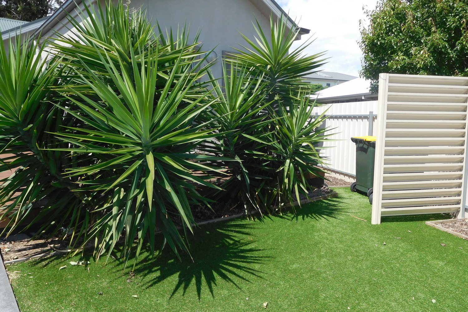 Deakin Court, Horsham