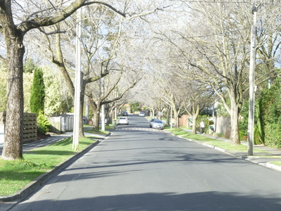 Mitcham