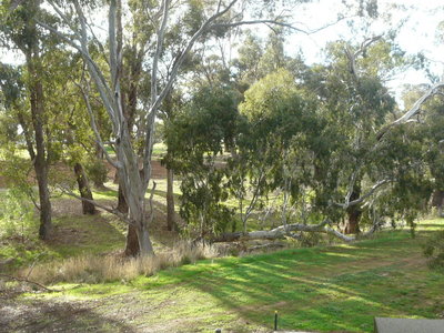 17 Ludovic-Marie Court, Nagambie