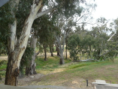 17 Ludovic-Marie Court, Nagambie