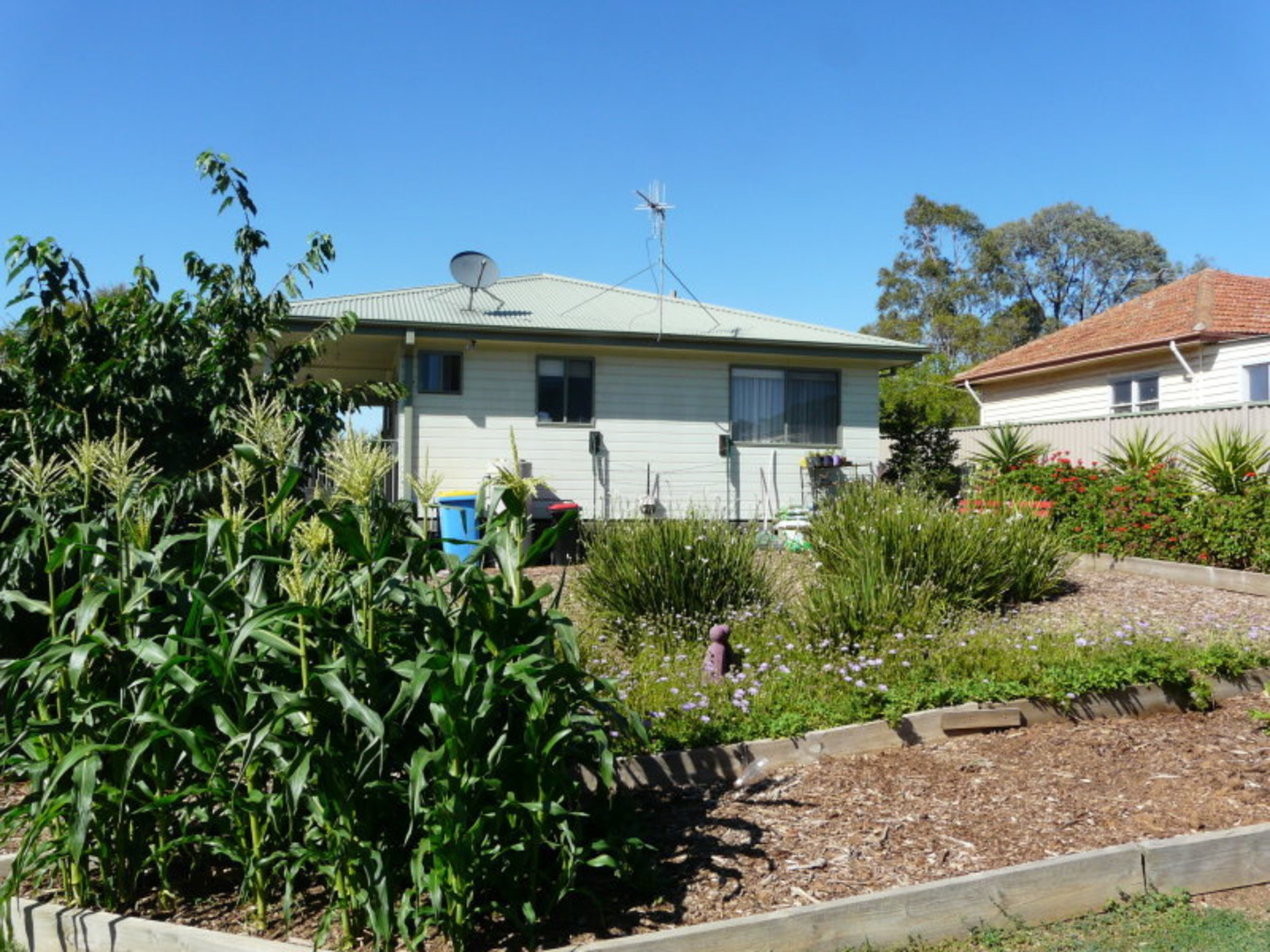 8 Corio Street, Murchison