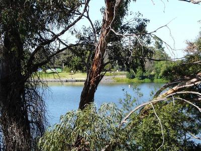 4 / 29-31 Young Street, Nagambie