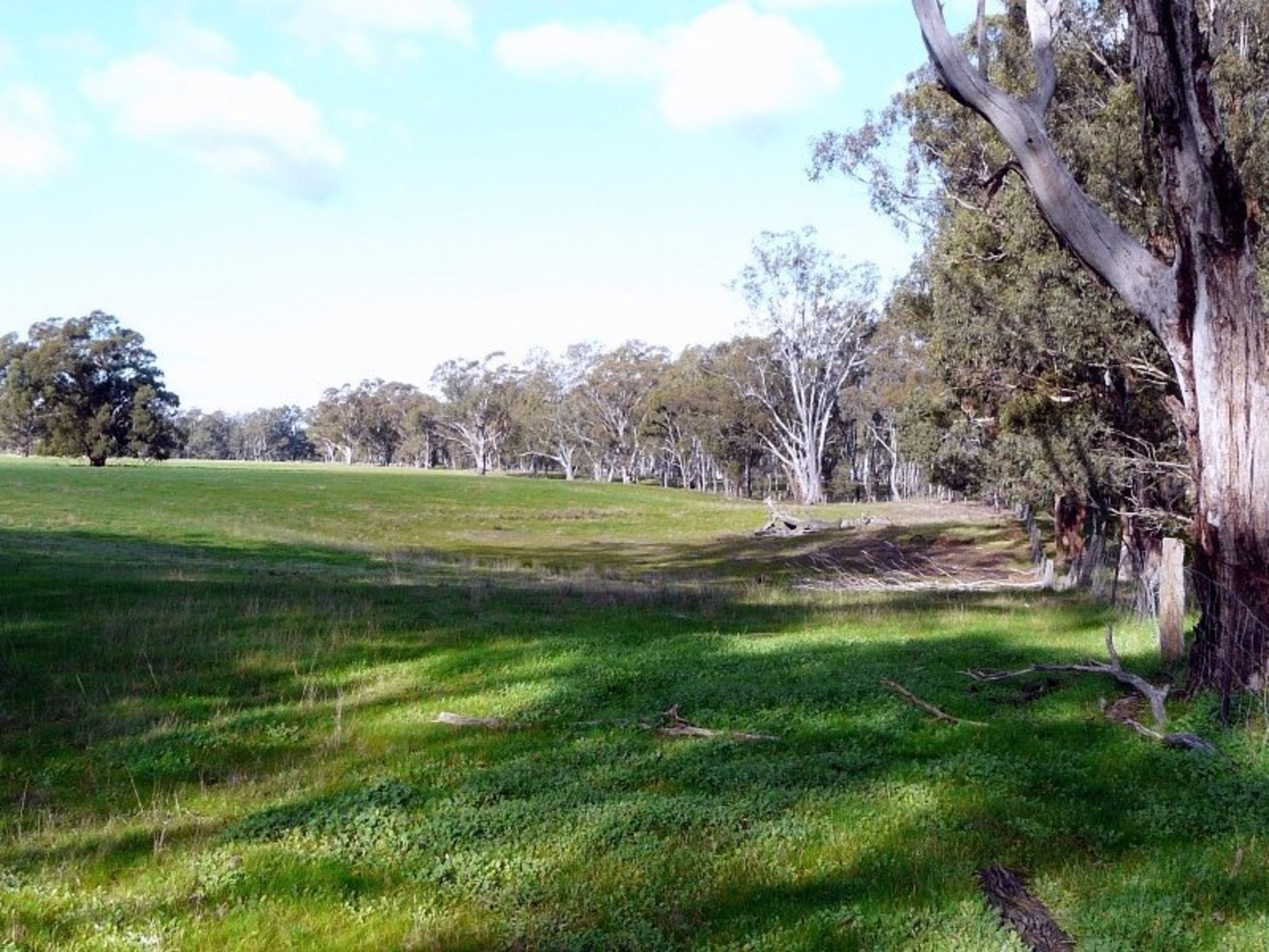 Costerfield-Graytown Road, Graytown