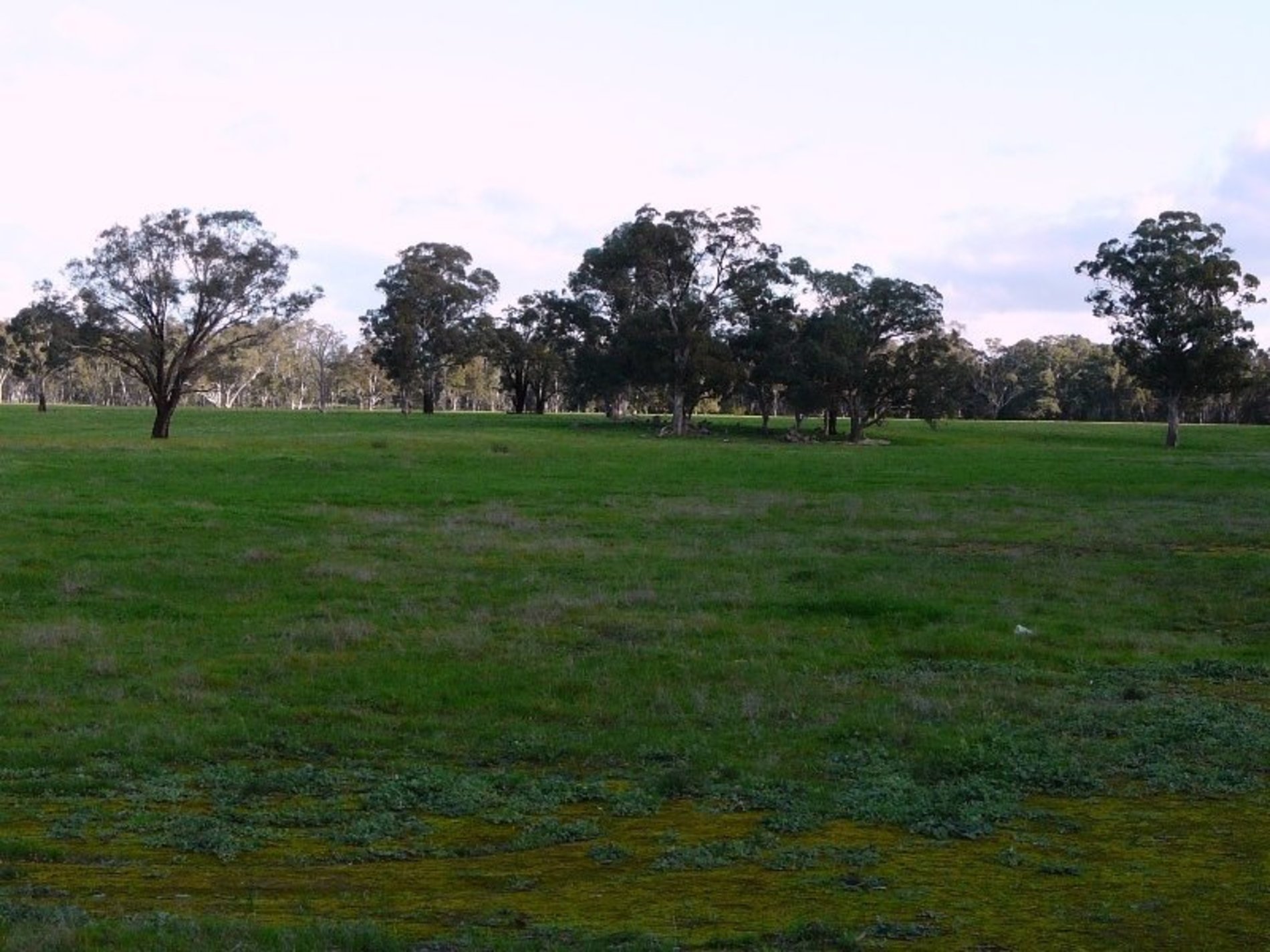 Costerfield-Graytown Road, Graytown