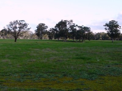 Costerfield-Graytown Road, Graytown