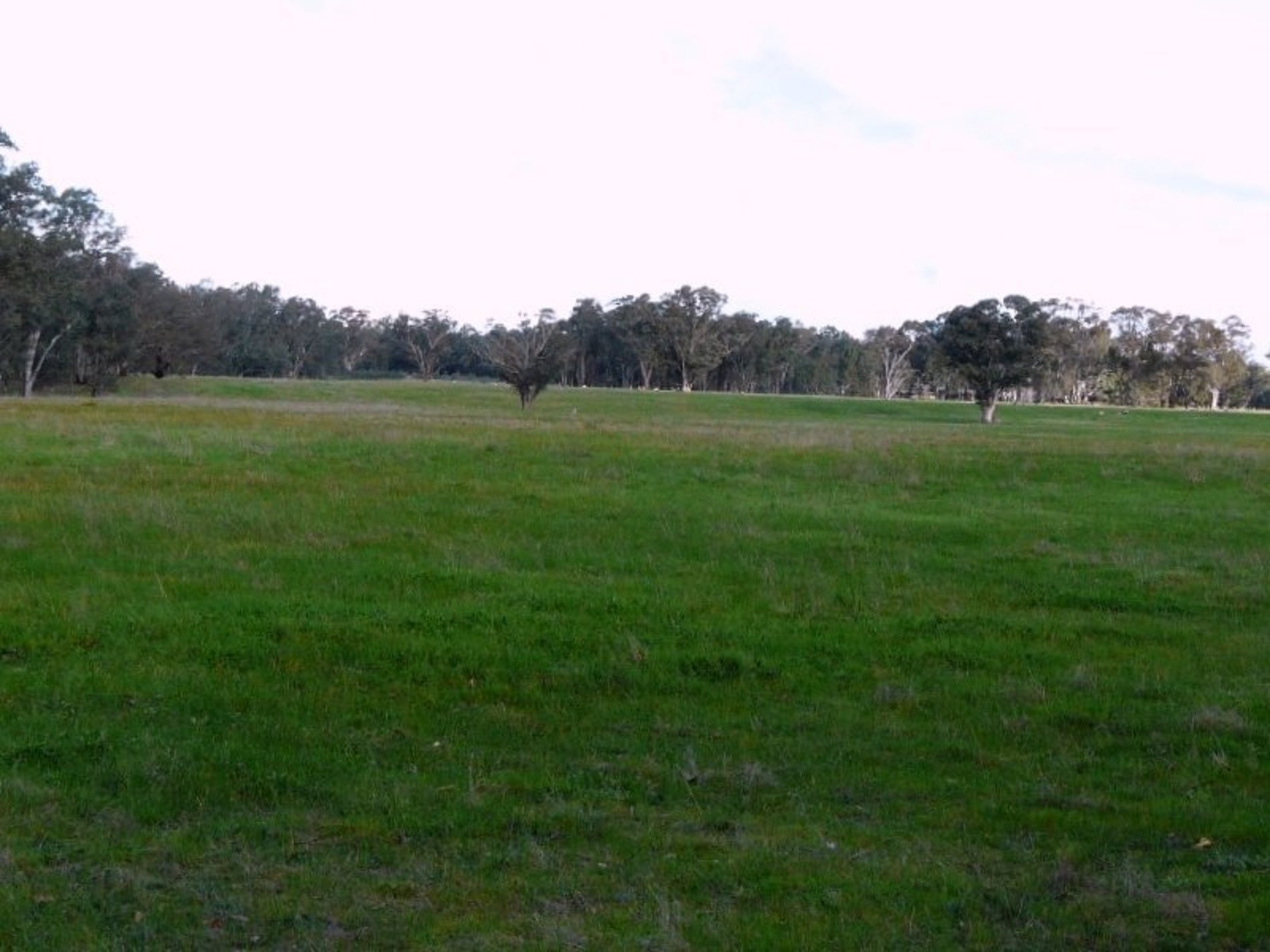 Costerfield-Graytown Road, Graytown