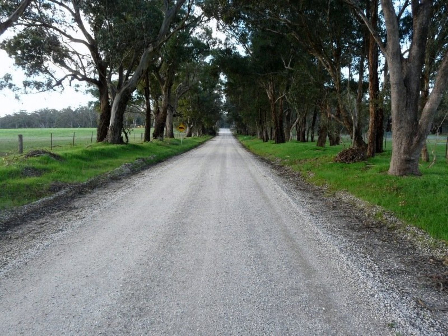 Costerfield-Graytown Road, Graytown