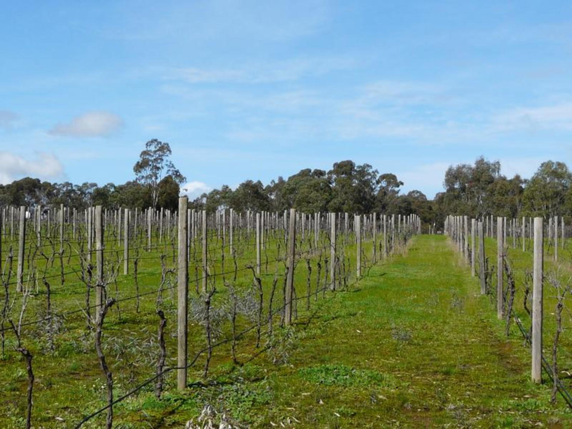 13-14, 59 Reynolds Court, Graytown