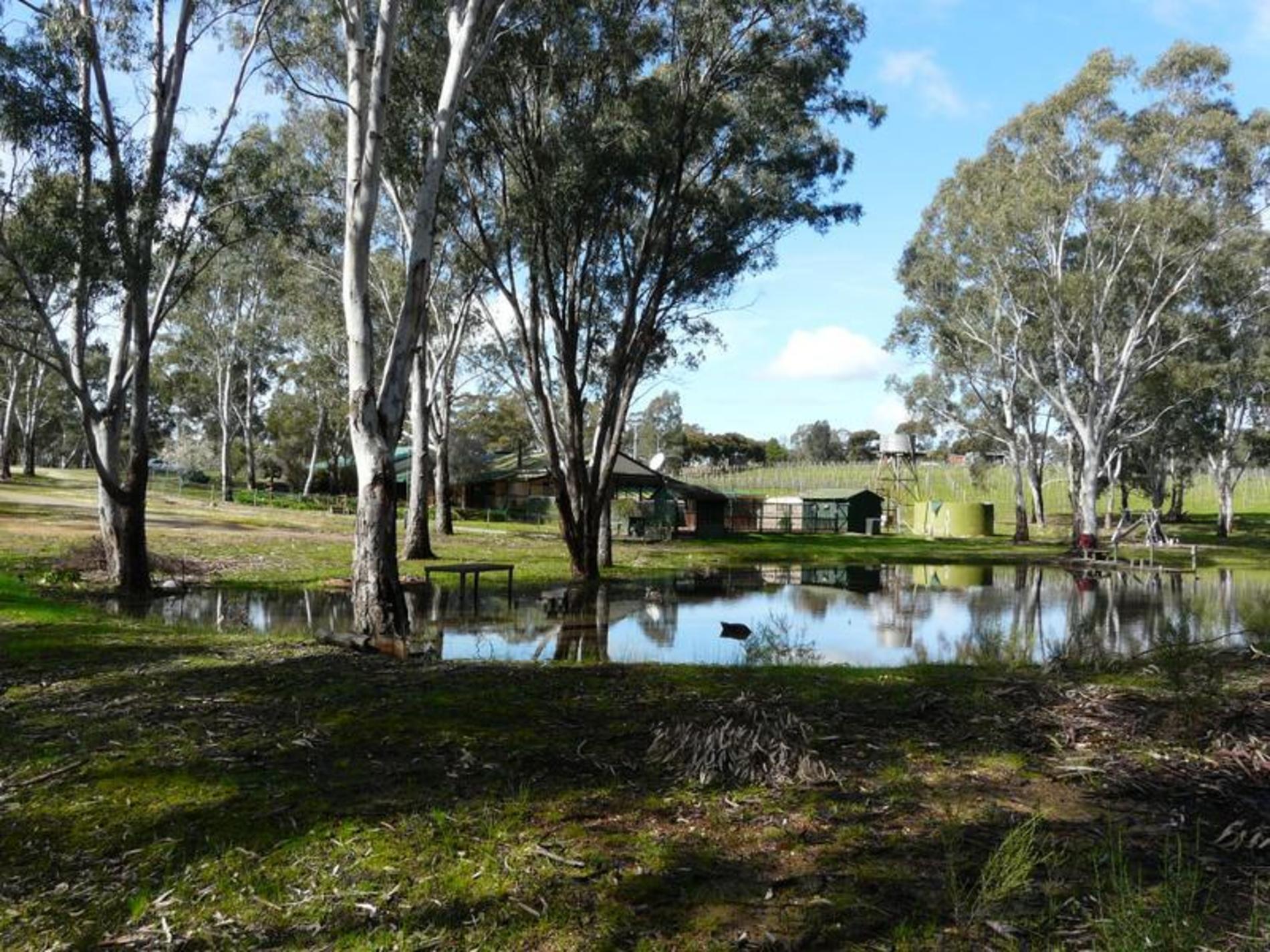 13-14, 59 Reynolds Court, Graytown