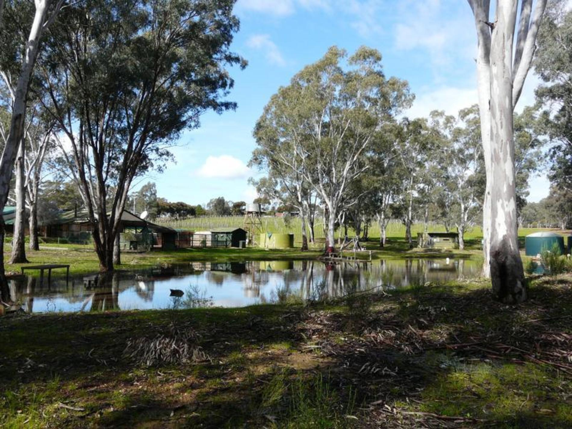 13-14, 59 Reynolds Court, Graytown