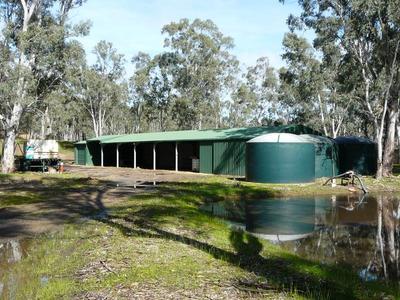 13-14, 59 Reynolds Court, Graytown