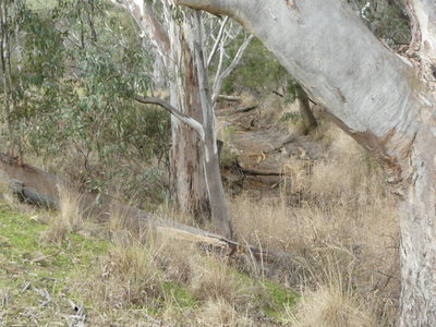 26 Moran Court, Graytown