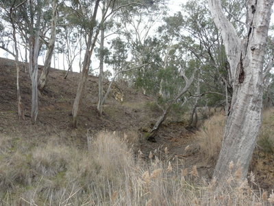 26 Moran Court, Graytown