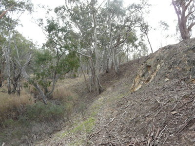 26 Moran Court, Graytown