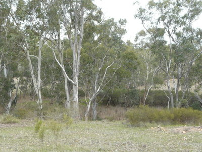 26 Moran Court, Graytown