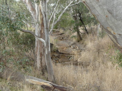 26 Moran Court, Graytown