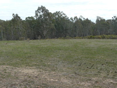 26 Moran Court, Graytown