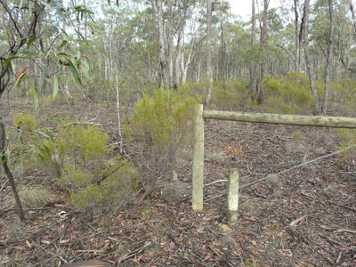 Lot 9, Cherry Tree Road, Bailieston