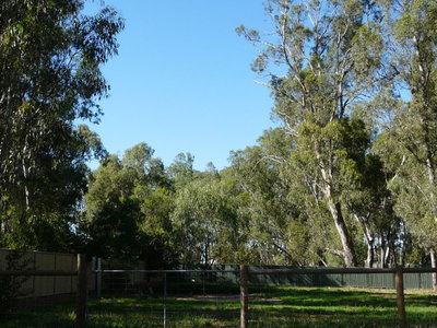 11 Barwon Street, Nagambie