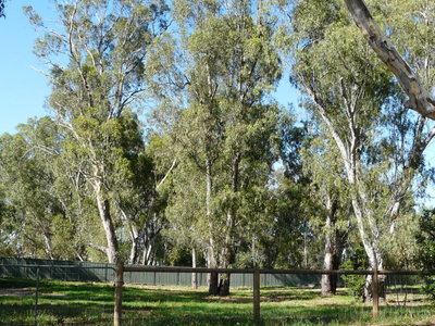 11 Barwon Street, Nagambie