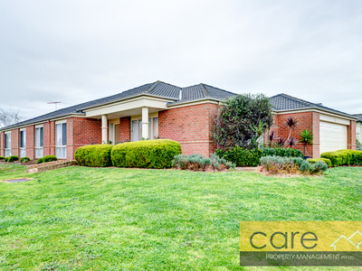 43 Harrington Drive, Narre Warren South