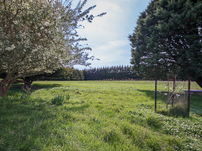 29 Ochiltree Court, Romsey