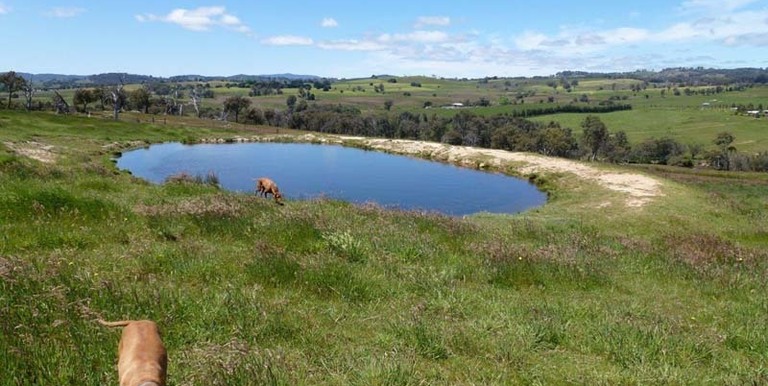 696 Galls Gap Road Strathbogie, Euroa