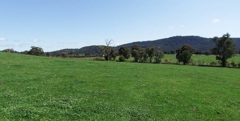 696 Galls Gap Road Strathbogie, Euroa