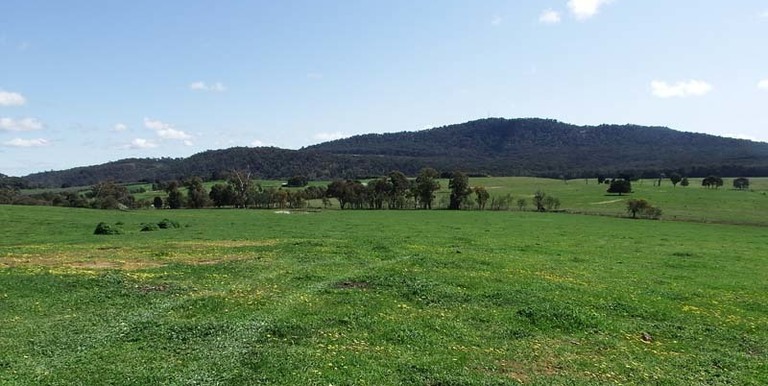 696 Galls Gap Road Strathbogie, Euroa