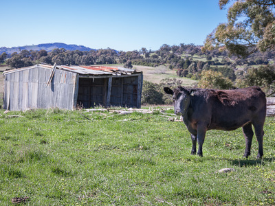 Lot 78E1, 326 Martins Road, Nulla Vale