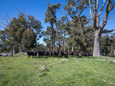 Lot 78E1, 326 Martins Road, Nulla Vale