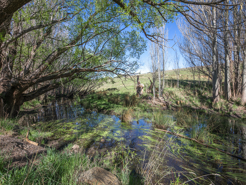Lot 78E1, 326 Martins Road, Nulla Vale
