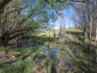 Lot 78E1, 326 Martins Road, Nulla Vale