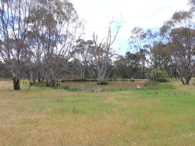 28 Field Road, Heathcote