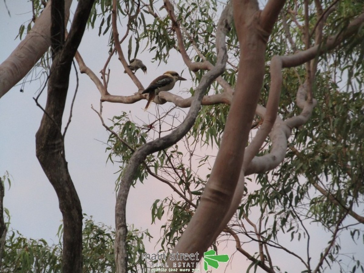 Herberton