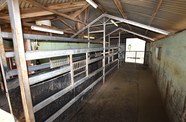 gallery