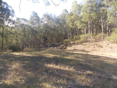 182 Sauls Road, Mandalong