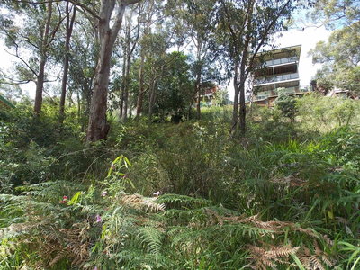 81 Alkrington Avenue, Fishing Point