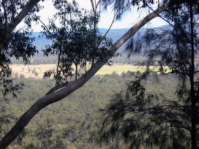 449 Mt Faulk Road, Cooranbong