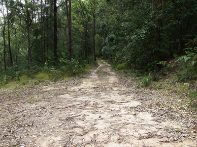 449 Mt Faulk Road, Cooranbong