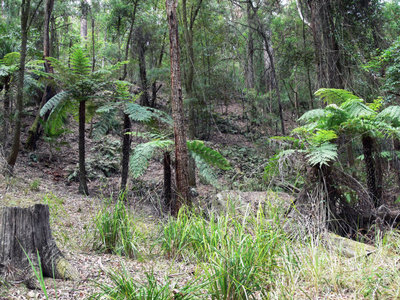 449 Mt Faulk Road, Cooranbong
