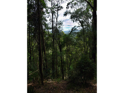 449 Mt Faulk Road, Cooranbong