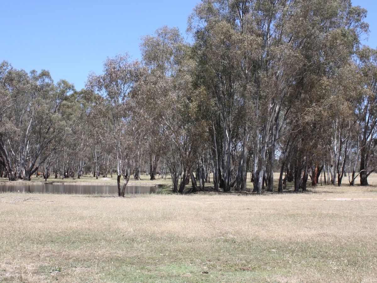 213 Baddaginnie-Benalla Road, Benalla