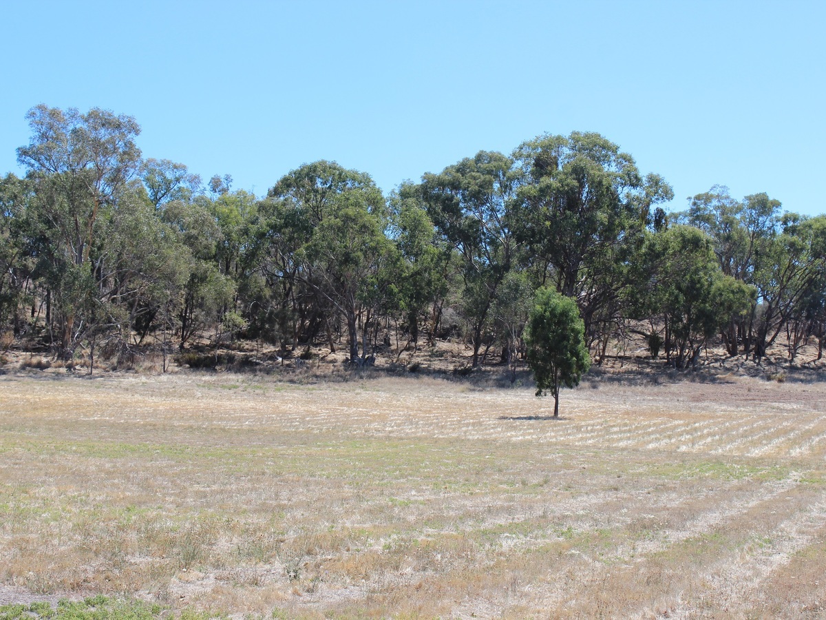 49 Lakeside Drive, Chesney Vale