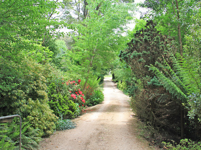26 / 28 Days Track, Hesket