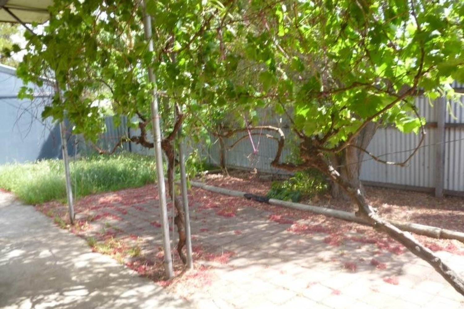 18 Howard Street, Horsham