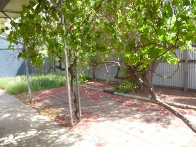 18 Howard Street, Horsham